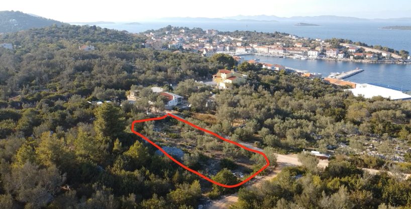 Wonderful plot surrounded by olive trees
